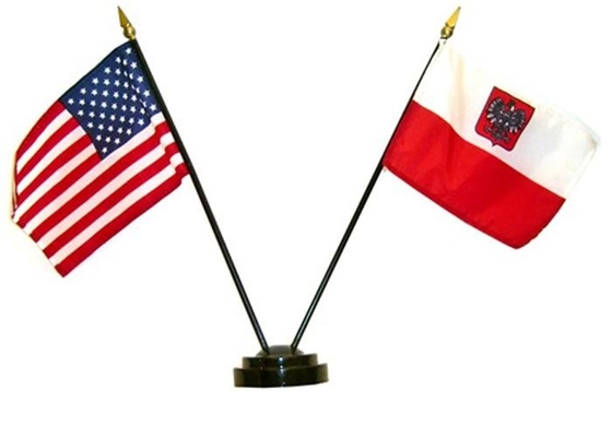 La sobremesa de encargo del logotipo señala el poliéster por medio de una bandera que cubre el diseño distintivo mini para encontrarse