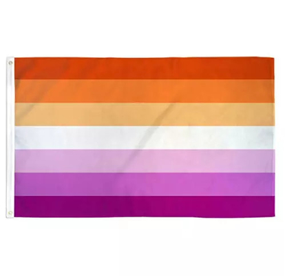 Impresión digital Arco iris LGBT Bandera 3x5Ft 100D Poliéster Bandera de progreso